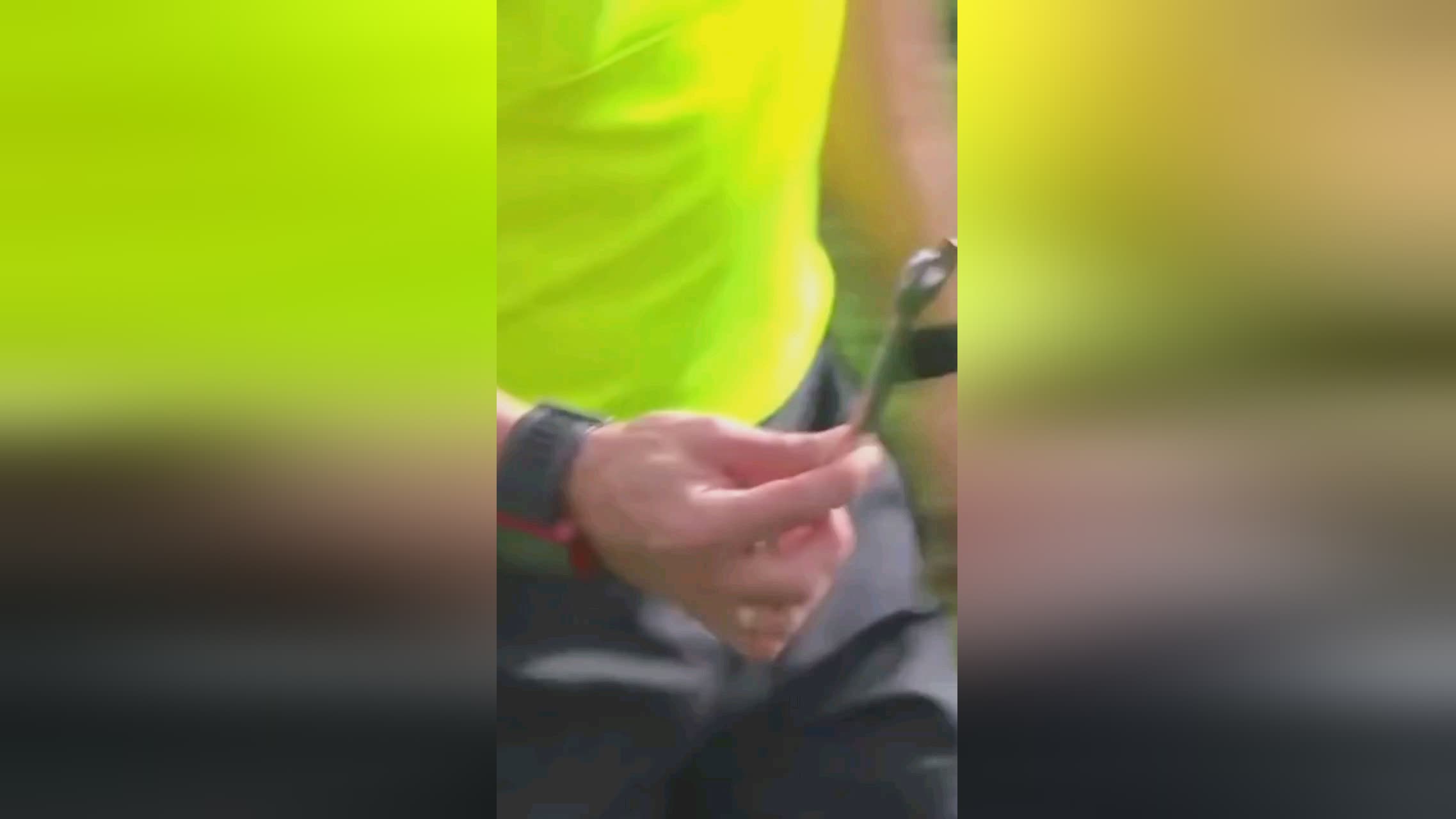 展计划此外